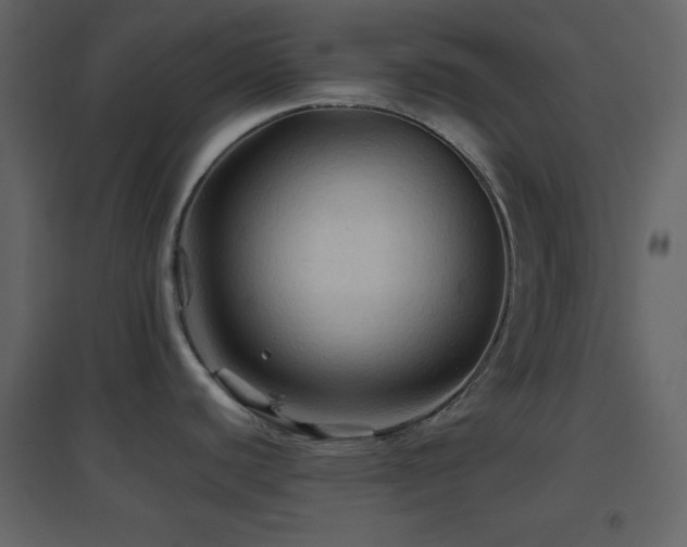 X0000096691440200802051335
