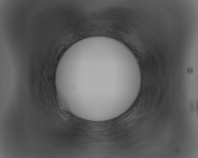 X0000096691441200802051334