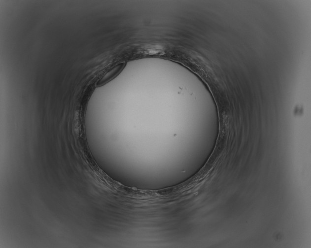 X0000096691442200802051334