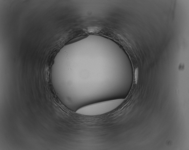 X0000096691443200802051334