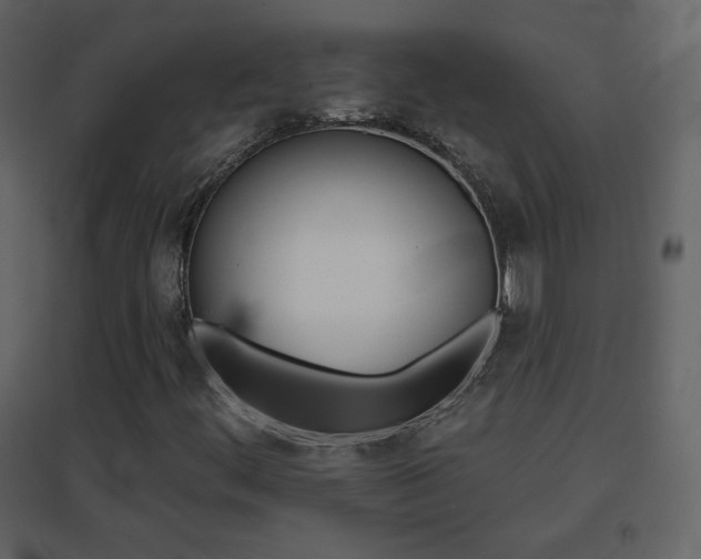 X0000096691444200802051334