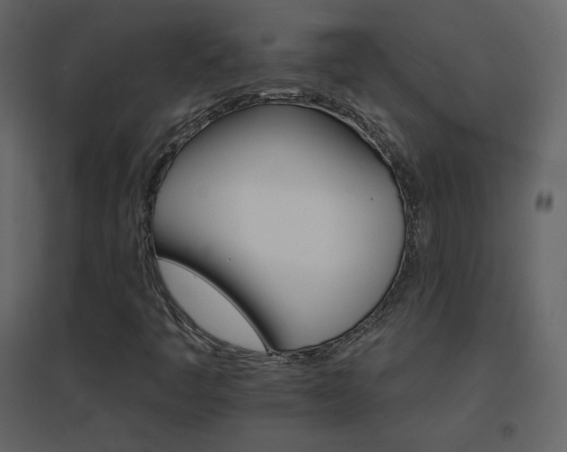 X0000096691445200802051334