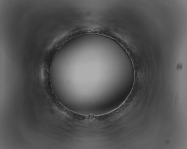 X0000096691447200802051334
