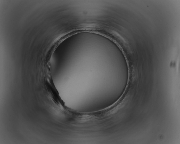 X0000096691449200802051334