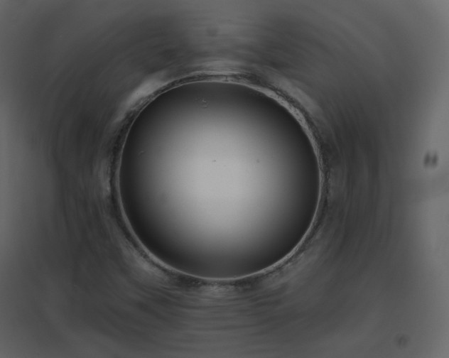 X0000096691451200802051334