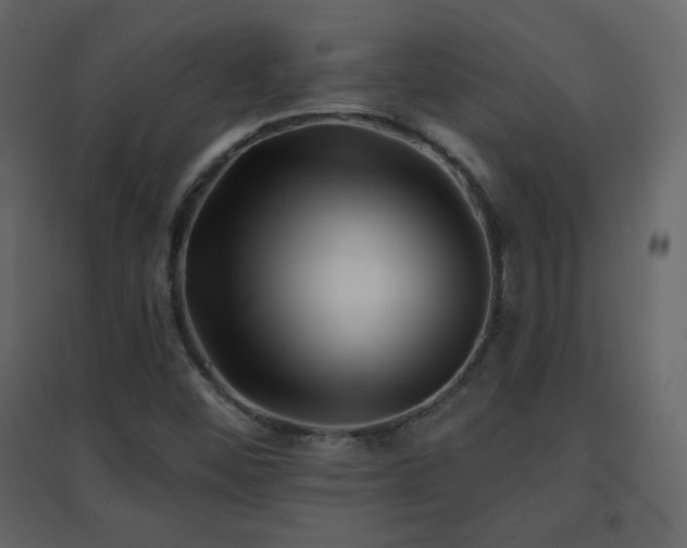 X0000096691452200802051334