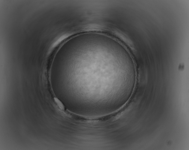 X0000096691453200802051334