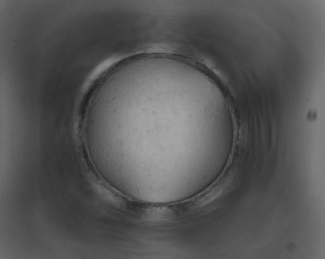 X0000096691454200802051334