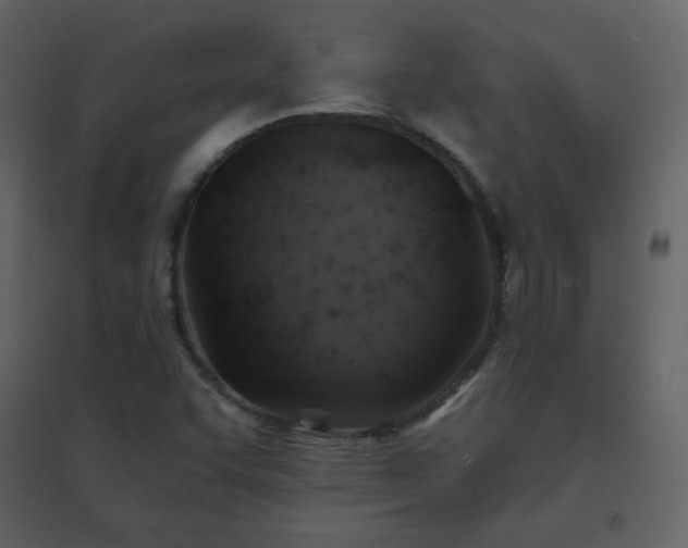X0000096691455200802051334