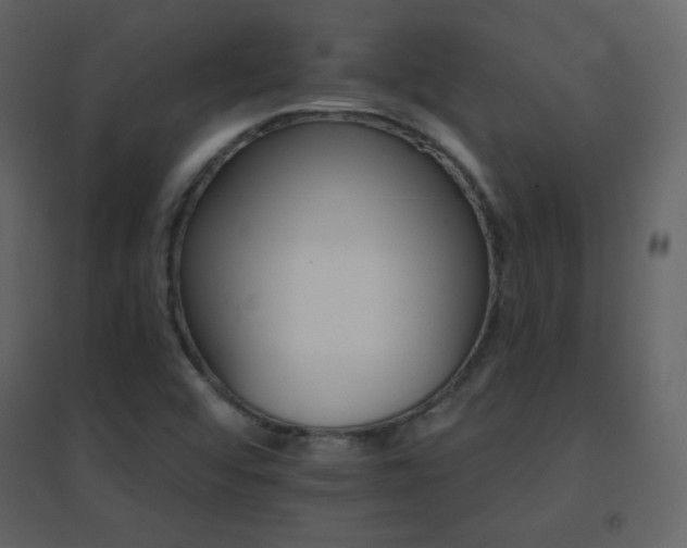 X0000096691456200802051334