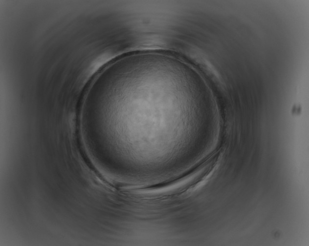X0000096691457200802051334