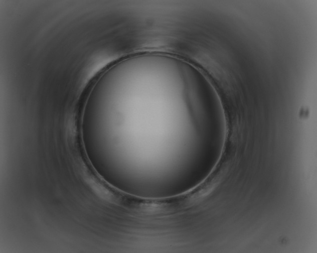X0000096691458200802051334