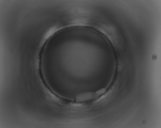X0000096691459200802051334