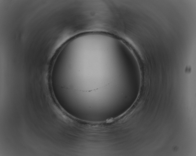 X0000096691460200802051334