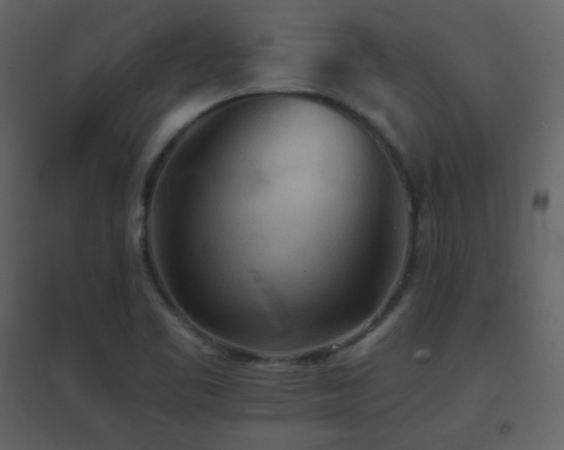 X0000096691461200802051334