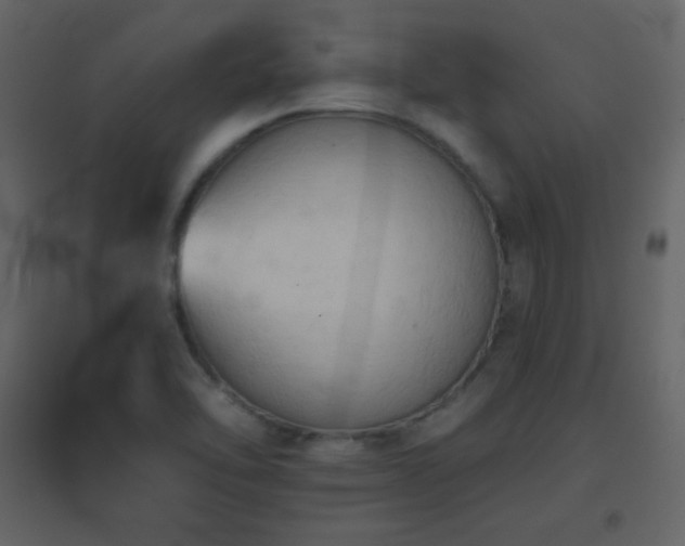 X0000096691462200802051334