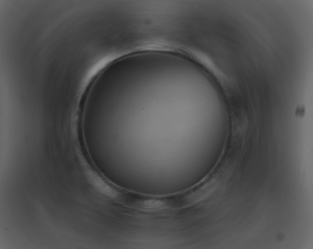 X0000096691463200802051334