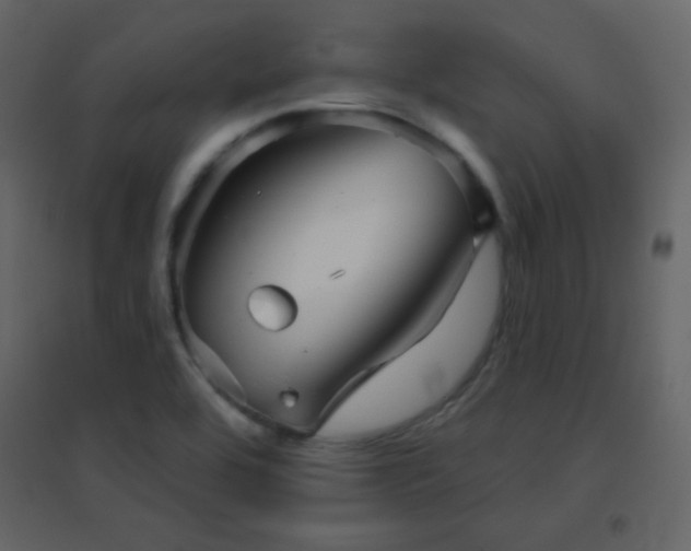 X0000096691464200802051334