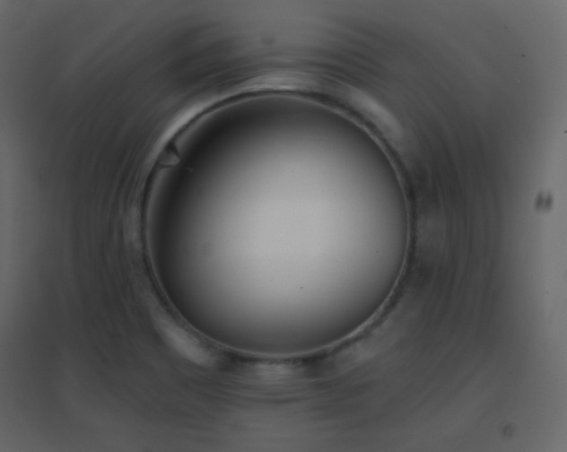 X0000096691465200802051334