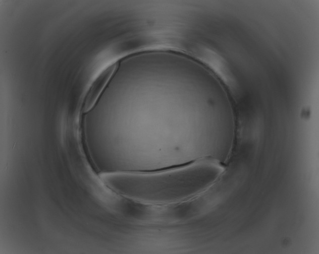 X0000096691468200802051334