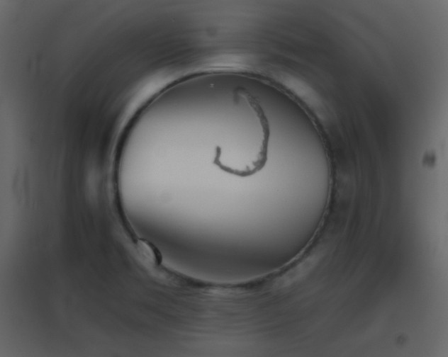 X0000096691469200802051334