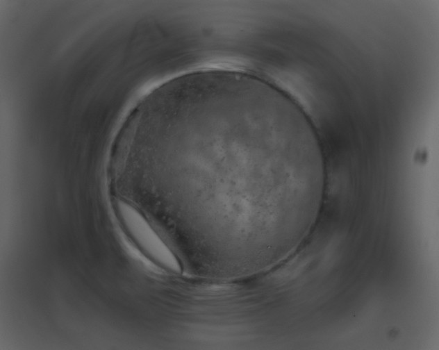 X0000096691471200802051334