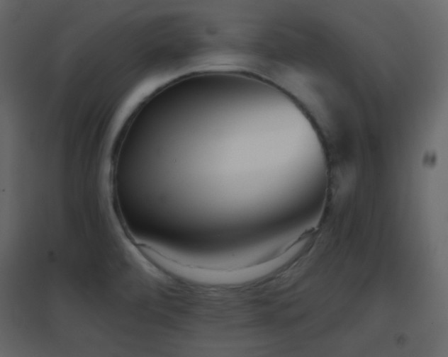 X0000096691472200802051334