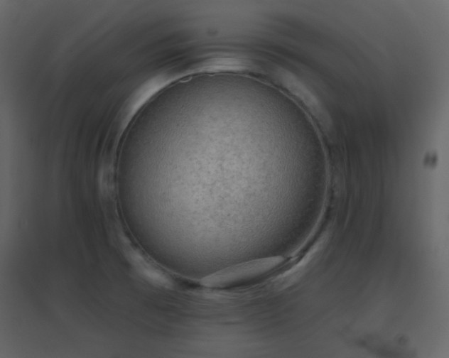 X0000096691473200802051334