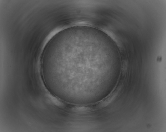 X0000096691474200802051334