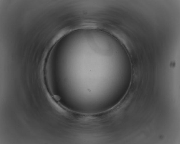 X0000096691475200802051334