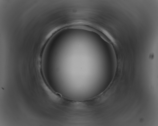 X0000096691476200802051334
