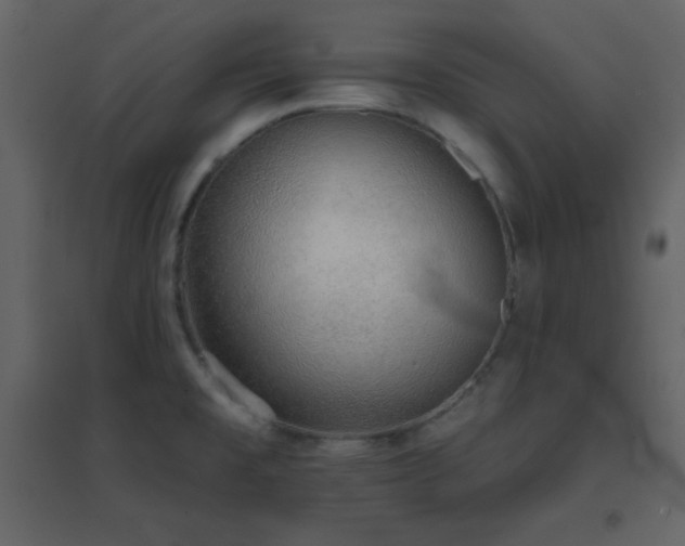 X0000096691477200802051334