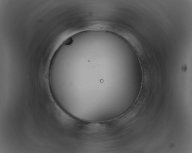 X0000096691478200802051334