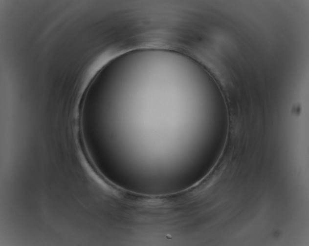 X0000096691479200802051334