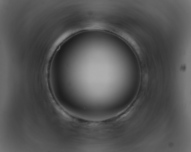 X0000096691480200802051334