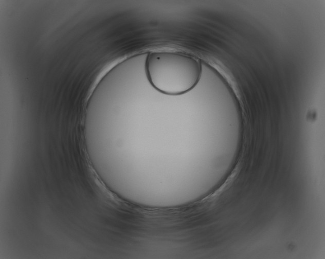 X0000096691481200802051334