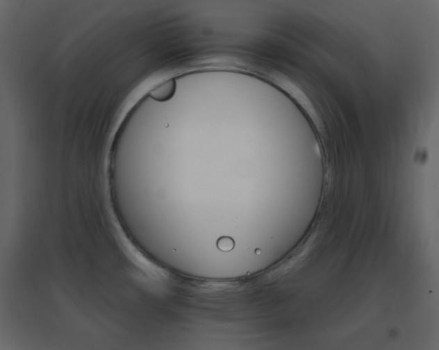 X0000096691482200802051334