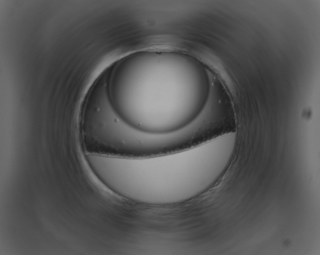 X0000096691483200802051334