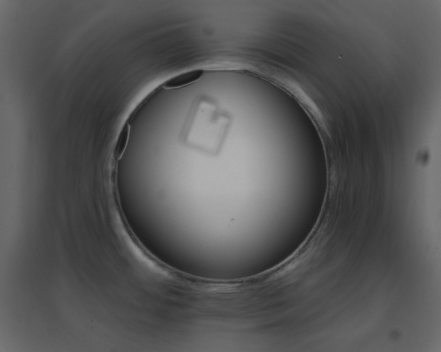 X0000096691484200802051334
