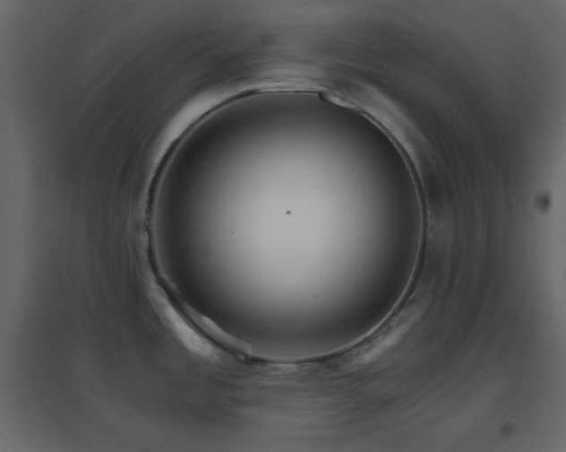 X0000096691485200802051334