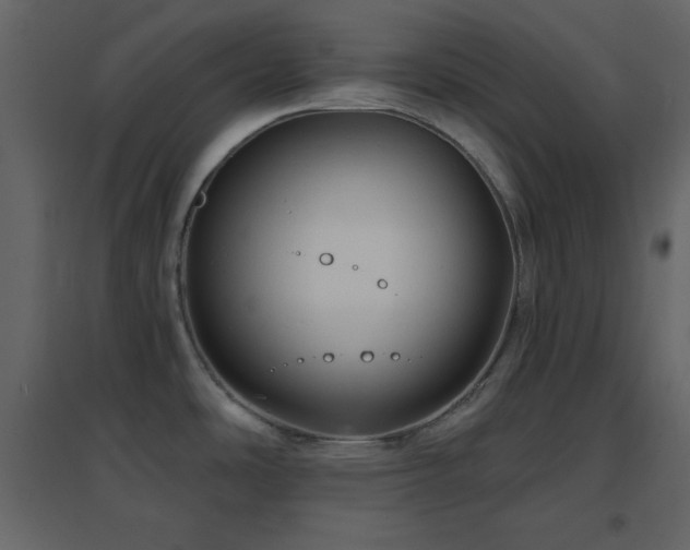X0000096691486200802051334