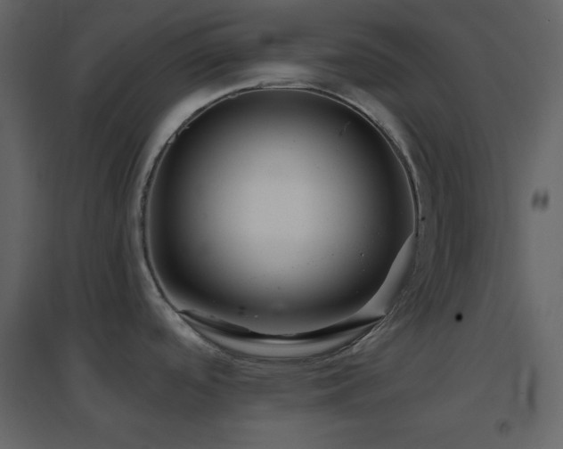 X0000096691488200802051334
