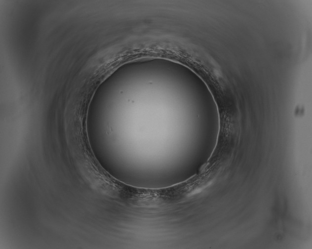 X0000096691489200802051333