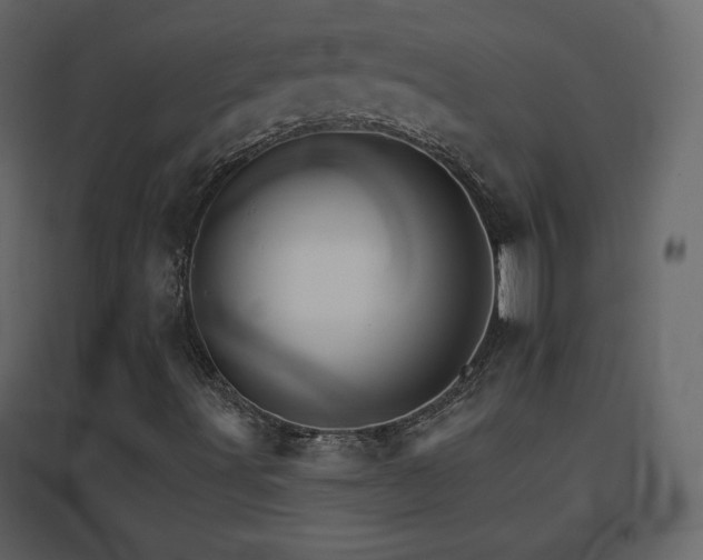 X0000096691491200802051333