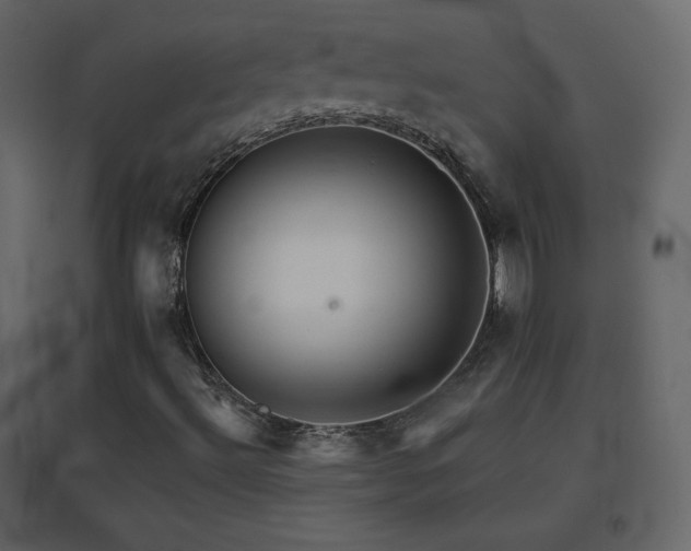 X0000096691492200802051333