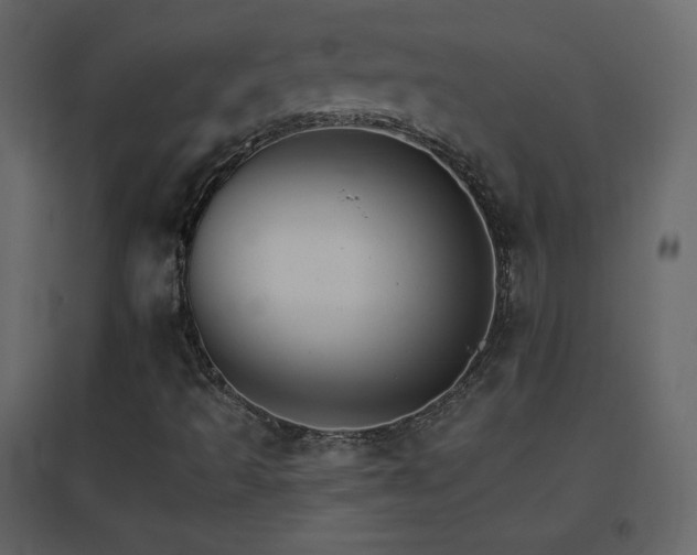 X0000096691493200802051333