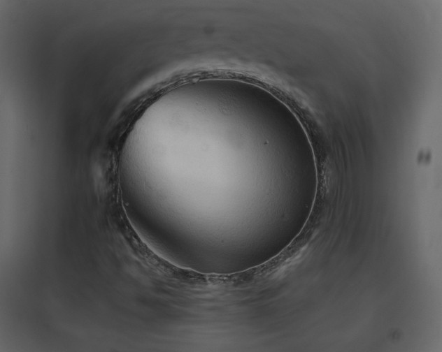 X0000096691494200802051333