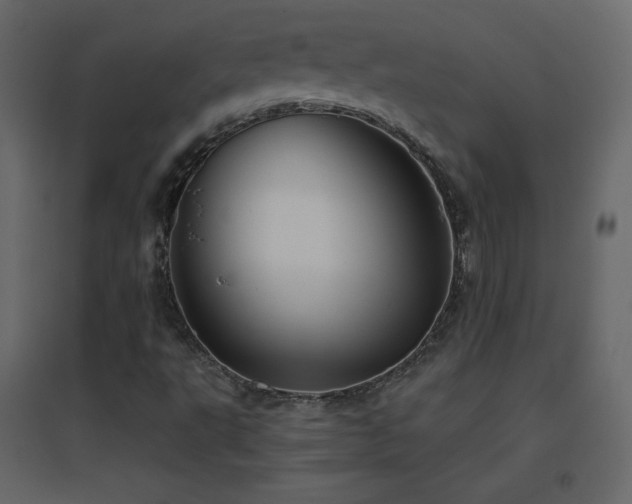 X0000096691495200802051333