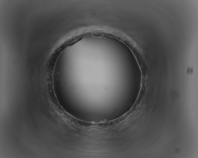 X0000096691496200802051333