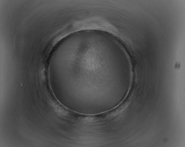 X0000096691497200802051333